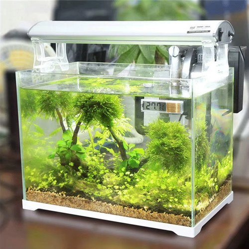 Digital lcd aquarium - lcd,