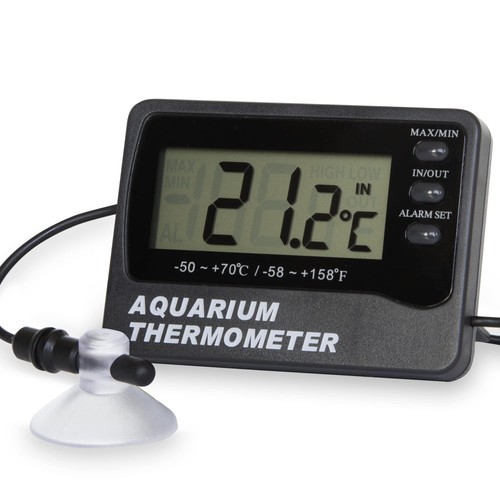 Digital aquarium thermometer - aquarium,