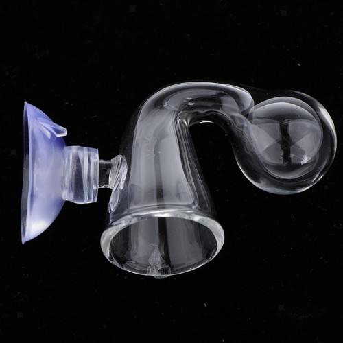 Aquarium monitor glass - aquarium,