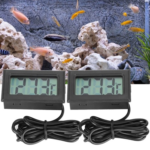 Fish tank digital - 2x,